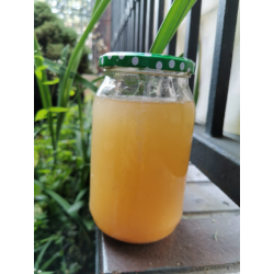 Sok z kapusty BIO 900ml