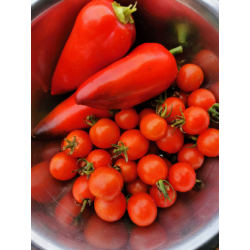 Pomidorki koktajlowe BIO 250g