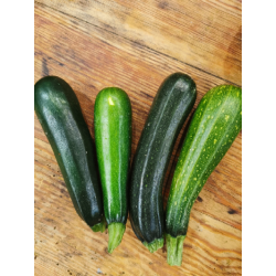 Cukinia młoda BIO 1kg