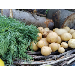 Ziemniaki młode BIO 1kg