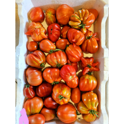 Pomidory bawole serca 1kg