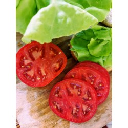 Pomidory malinowe 1kg