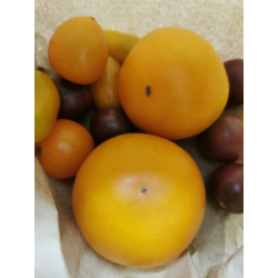Pomidory żółte BIO 1kg