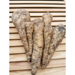 Pietruszka korzeń BIO 500g