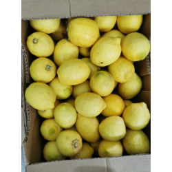 Cytryny BIO z Sycylii 1kg