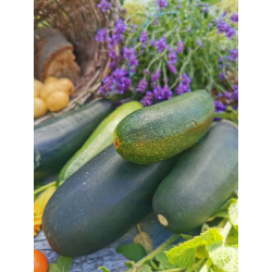 Cukinia młoda BIO 1kg