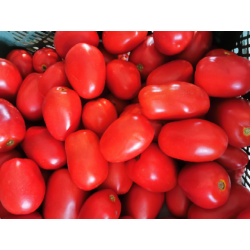 Pomidory podłużne lima 1kg